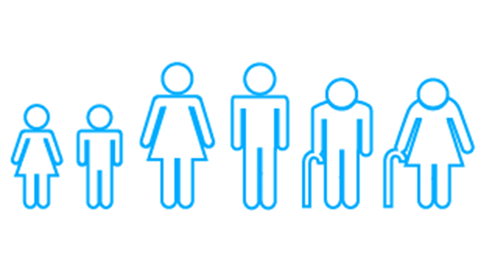 正確な属性情報：イメージ